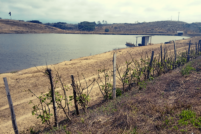 Cojimies Shrimp Farm