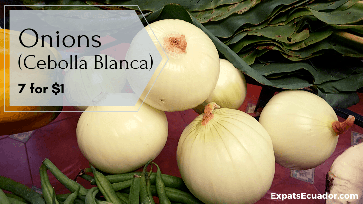 Onions (Cebolla Blanca) Cost Cuenca