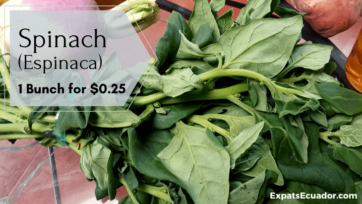 Spinach (Espinaca) Cost Ecuador