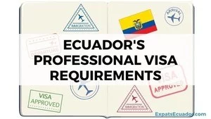Ecuador's Professional Visa Requirements