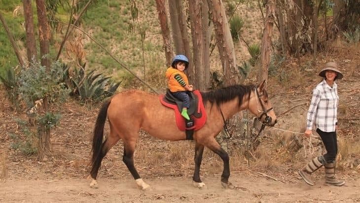 Horse riding school Hacienda Tilipulo Ecuador