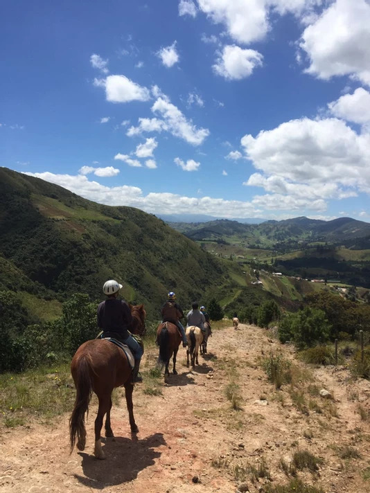 Centro Ecuestre Bellavista 3 hour horse riding tour