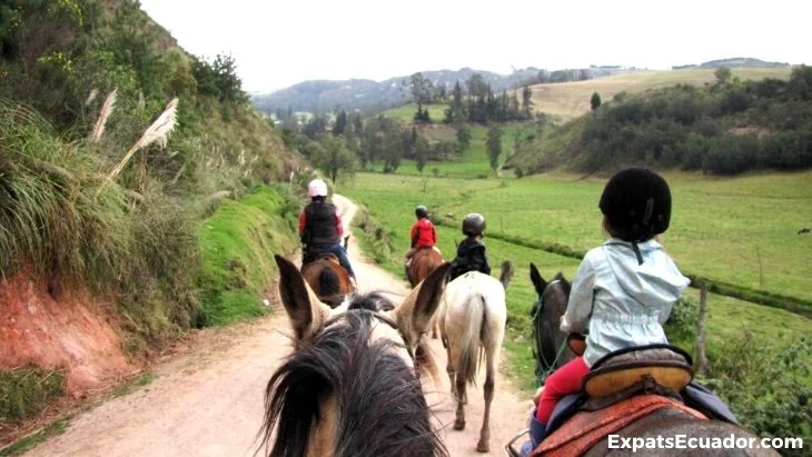Cuenca Horse Riding Tours Safety